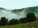 گزارش تصویری از فصل پاییز در جنگل ابر شاهرود